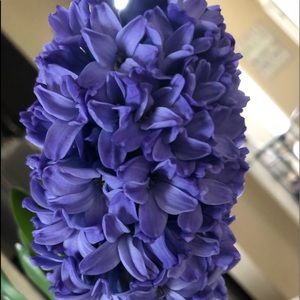 Meet your Posher, Jill